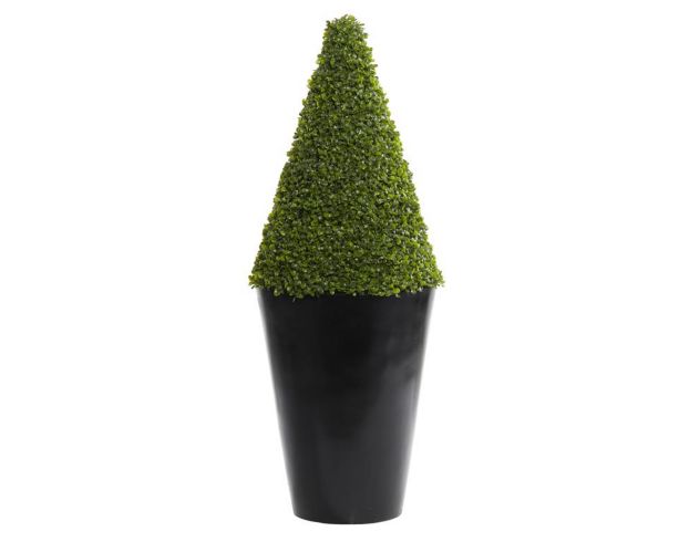 Uma Cone Topiary in Black Pot large image number 1