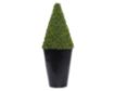 Uma Cone Topiary in Black Pot small image number 2