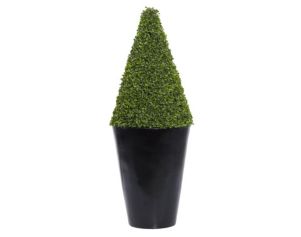 Uma Cone Topiary in Black Pot