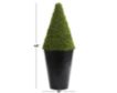 Uma Cone Topiary in Black Pot small image number 4
