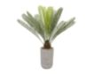 Uma 45-IN Sago Palm Grayish Pot small image number 1