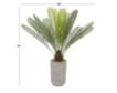 Uma 45-IN Sago Palm Grayish Pot small image number 5