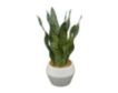 Uma 15" Faux Snake Plant with White Pot small image number 3