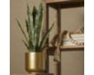 Uma 20" Faux Snake Plant with Gold Pot small image number 4