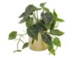 Uma 12" Faux Pothos Plant with Gold Pot small image number 1