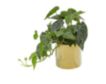 Uma 12" Faux Pothos Plant with Gold Pot small image number 2