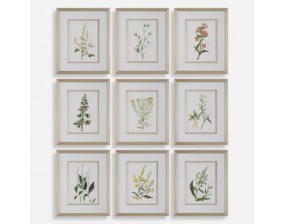 The Uttermost Company Botanical Flowers Framed Prints (Set of 9)