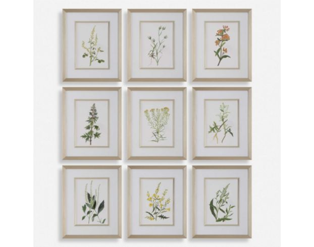 The Uttermost Company Botanical Flowers Framed Prints (Set of 9) large image number 1