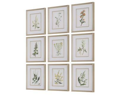 The Uttermost Company Botanical Flowers Framed Prints (Set of 9)