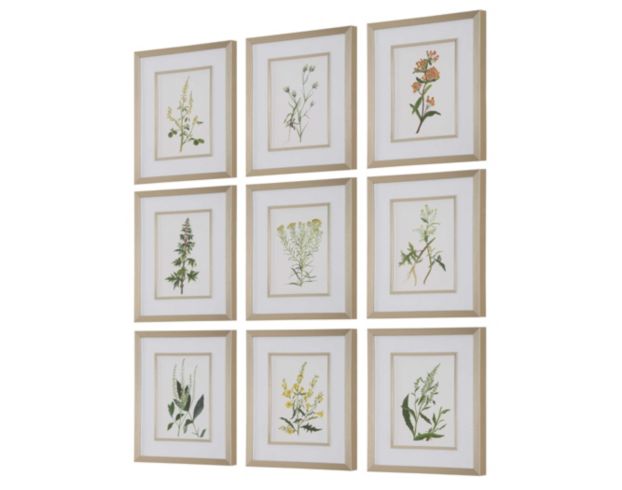 The Uttermost Company Botanical Flowers Framed Prints (Set of 9) large image number 2