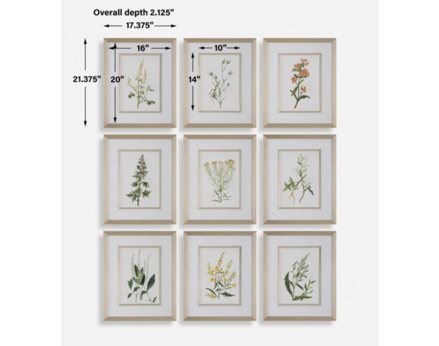 The Uttermost Company Botanical Flowers Framed Prints (Set of 9) large image number 7