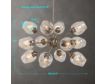 The Uttermost Company Chet Sputnik 12-Light Chandelier small image number 9