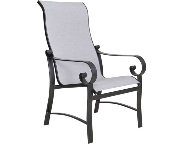 Woodard Belden Dining Arm Chair large image number 2
